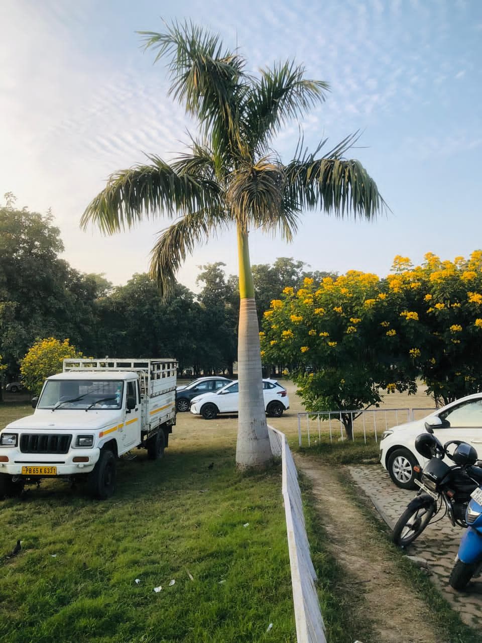 Panjab University Chandigarh Campus photo 8